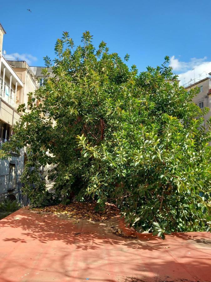 Santa Chiara Home Spaccanapoli 外观 照片